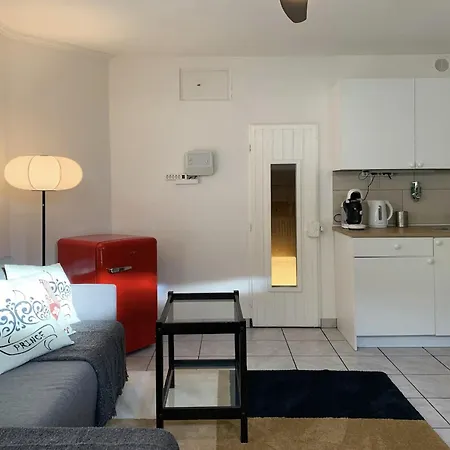 Comodo Pied-a-terre Ad * Ascona